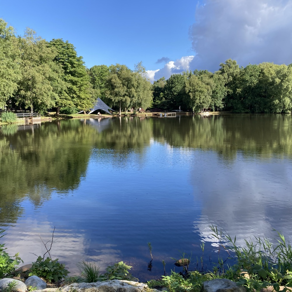 🌿 Mikroeventyr i naturen
